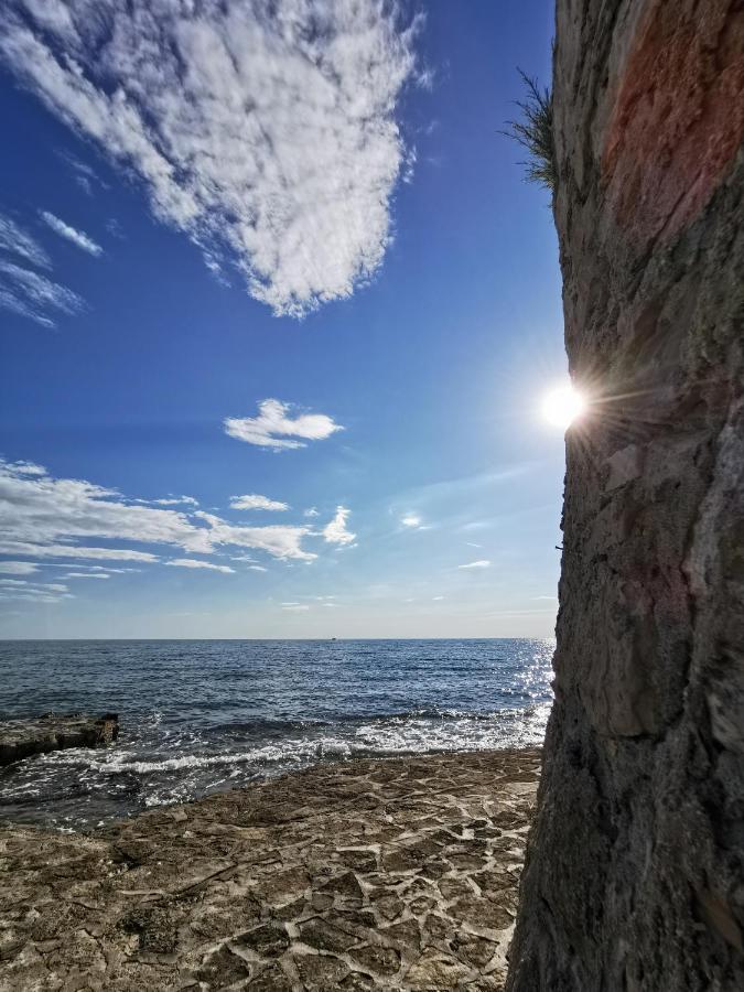 Aria Deluxe Superior 5 Star Apartment, Your Piece Of Heaven By The Sea & Park, With Sea & Park View Novigrad Istria Kültér fotó